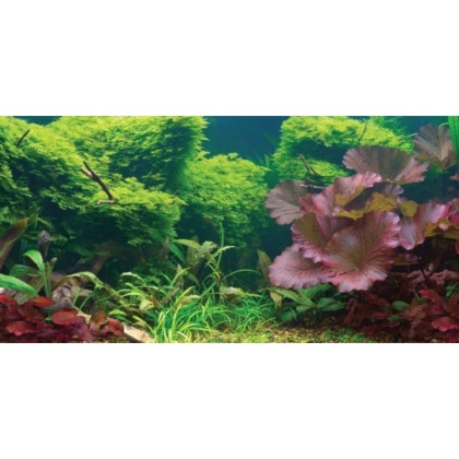 Aquatic Creations Tropical Cling Aquarium Background - 24\