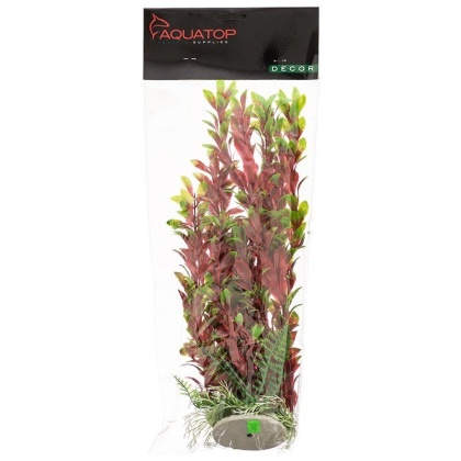 Aquatop Hygro Aquarium Plant - Red & Green - 12