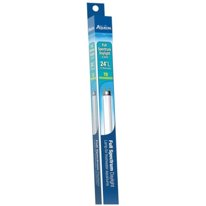 Aqueon T8 Daylight Fluorescent Lamp - 24