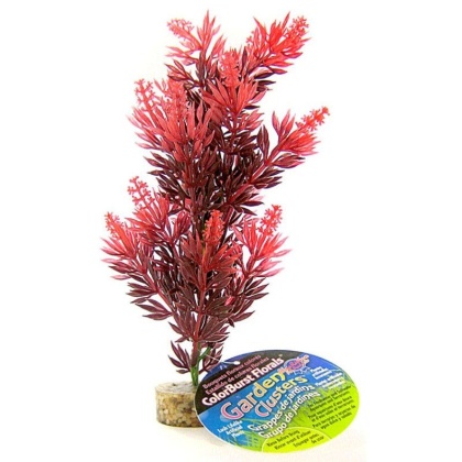 Blue Ribbon Bush Plant with Gravel Base - Red - 8