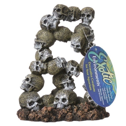 Exotic Environments Skull Archway Aquarium Ornament - Small - (5.5