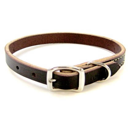 Circle T Latigo Leather Town Collar - 12