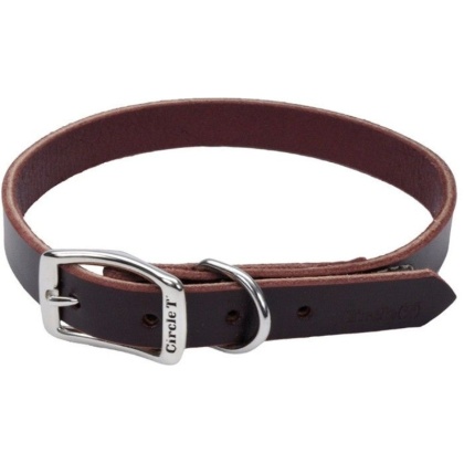 Circle T Latigo Leather Town Collar - 20\