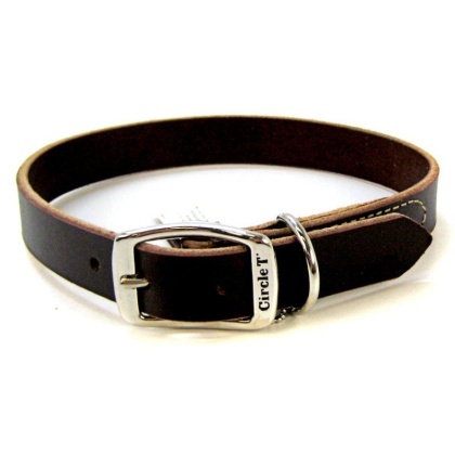 Circle T Latigo Leather Town Collar - 22