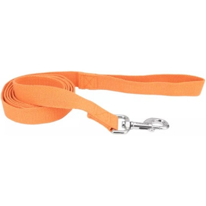 Coastal Pet New Earth Soy Dog Lead Pumpkin Orange - 6 feet x 5/8