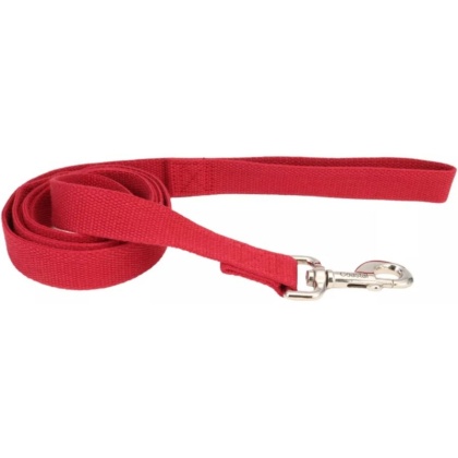 Coastal Pet New Earth Soy Dog Lead Cranberry Red - 6 feet x 1\