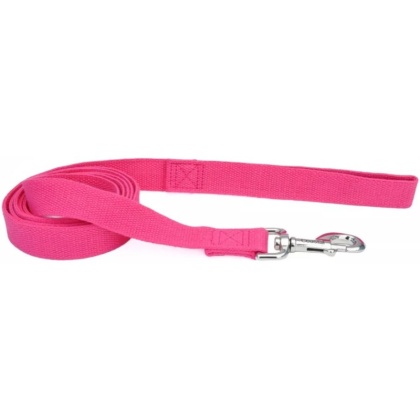 Coastal Pet New Earth Soy Dog Lead Fuchsia - 6 feet x 1\