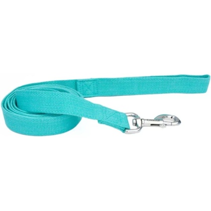 Coastal Pet New Earth Soy Dog Lead Mint Green - 6 feet x 1