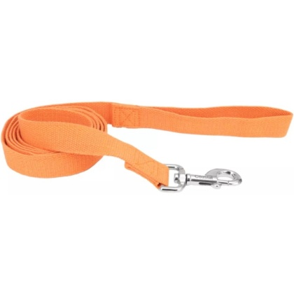 Coastal Pet New Earth Soy Dog Lead Pumpkin Orange - 6 feet x 1