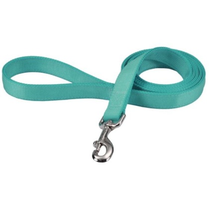 Coastal Pet Double-ply Nylon Dog Lead Teal - 72\