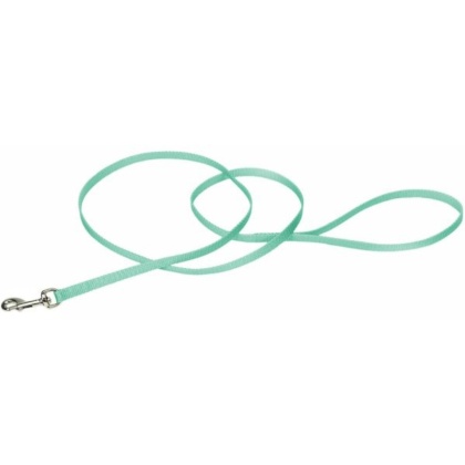 Coastal Pet Single-ply Nylon Dog Leash Teal - 4'L x 3/8