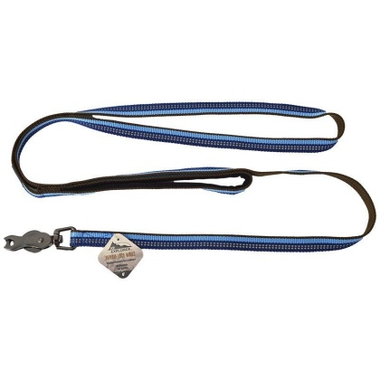 K9 Explorer Sapphire Reflective Leash with Scissor Snap - 6\' Long x 5/8\