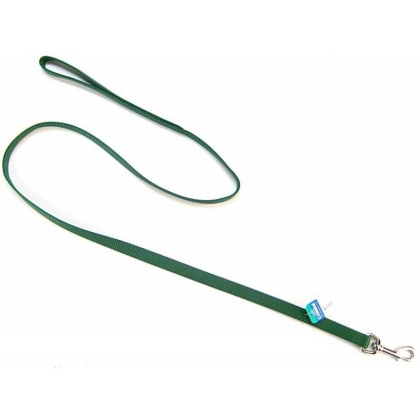 Coastal Pet Nylon Lead - Hunter Green - 4\' Long x 5/8\