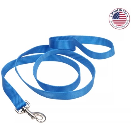 Coastal Pet Single-Ply Nylon Dog Leash Blue Lagoon - 4 feet x 5/8