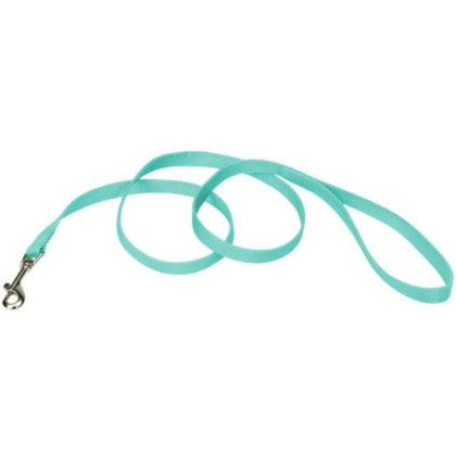 Coastal Pet Single-ply Teal Nylon Dog Lead - 4'L x 5/8