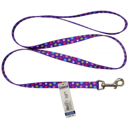 Pet Attire Styles Nylon Dog Leash - Special Paw - 4' Long x 5/8