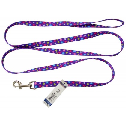 Pet Attire Styles Nylon Dog Leash - Special Paw - 6' Long x 5/8