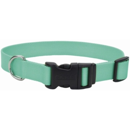 Coastal Pet Teal Nylon Tuff Dog Collar with Plastic Buckle - 8-12\