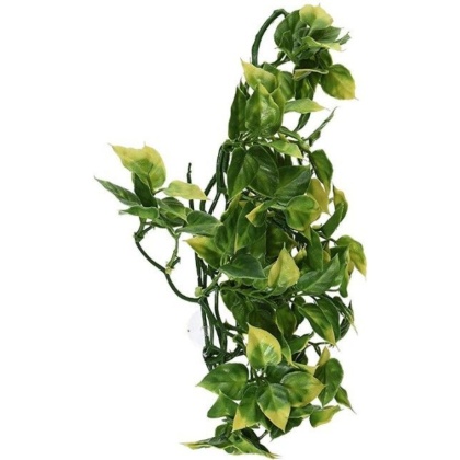 Exo-Terra Amapallo Forest Shrub - Medium (16