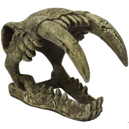 Komodo Saber Tooth Skull Terrarium Decoration - Large - 1 count