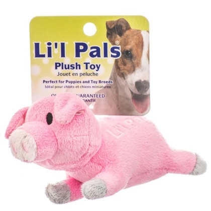 Lil Pals Ultra Soft Plush Dog Toy - Pig - 5.5