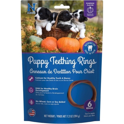 N-Bone Puppy Teething Ring - Pumpkin Flavor - Puppy Teething Ring - 3.5