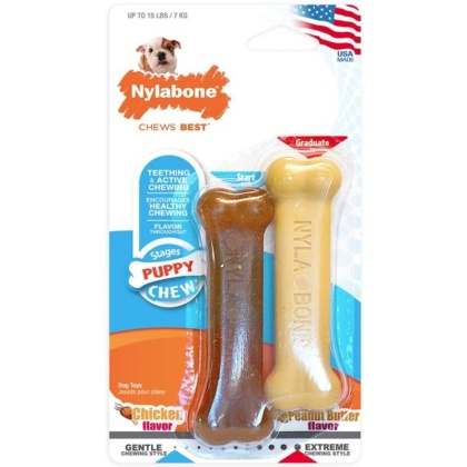 Nylabone Puppy Chew Petite Twin Pack - Chicken & Peanut Butter Nylon Chews - 3.75