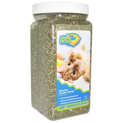 OurPets Cosmic Catnip Cosmic Catnip - 3.5 oz Cup