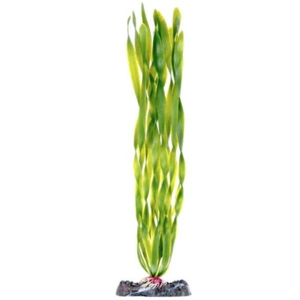 Penn Plax Sinkers Corkscrew Val Aquarium Plant Green - 13\