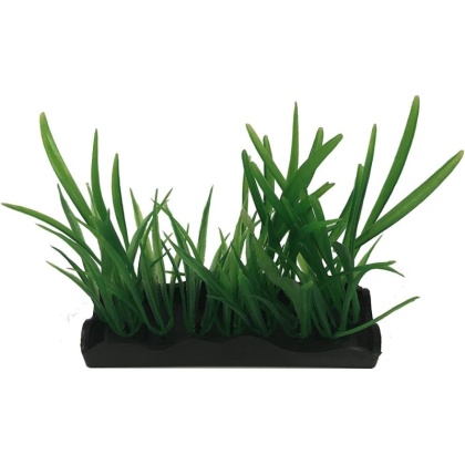 Penn Plax Harigrass Bunch Plant Medium - 1 count