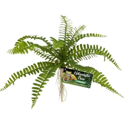 Zoo Med Naturalistic Flora Sword Fern - 1 count