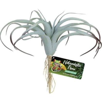 Zoo Med Naturalistic Flora Tillandsia Air Plant - 1 count